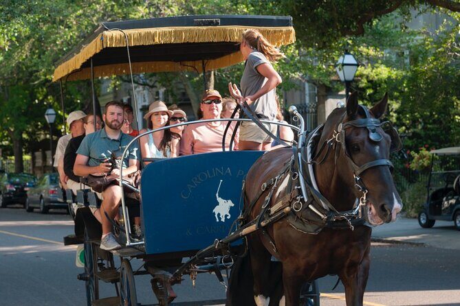 Charleston Horse & Carriage Historic Sightseeing Tour - Practical Tips for Your Carriage Ride