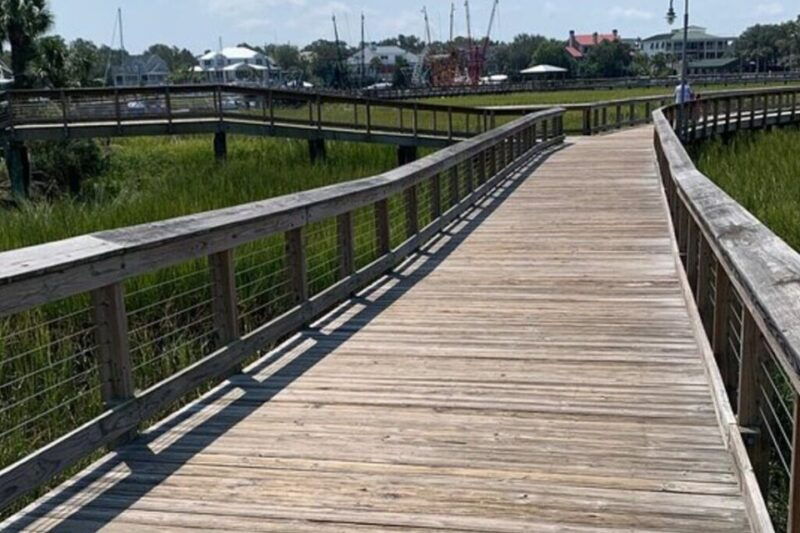 charleston-low-country-and-shores-e-bike-tour