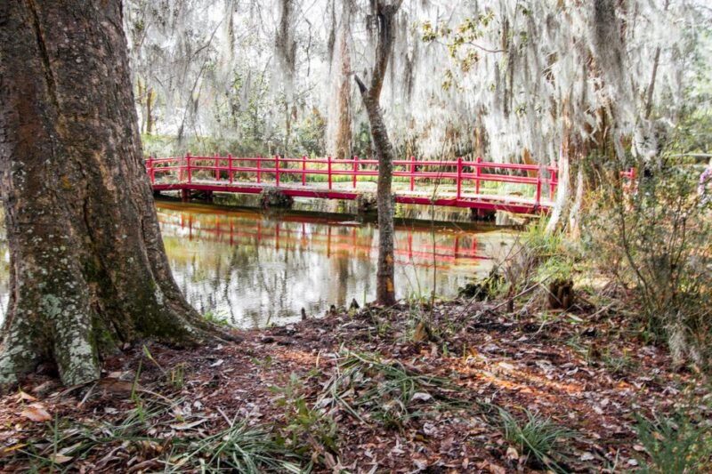 charleston-magnolia-plantation-entry-tour-with-transport