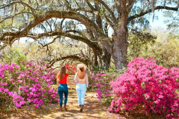 charleston-magnolia-plantation-entry-tour-with-transport