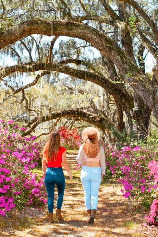 charleston-magnolia-plantation-entry-tour-with-transport
