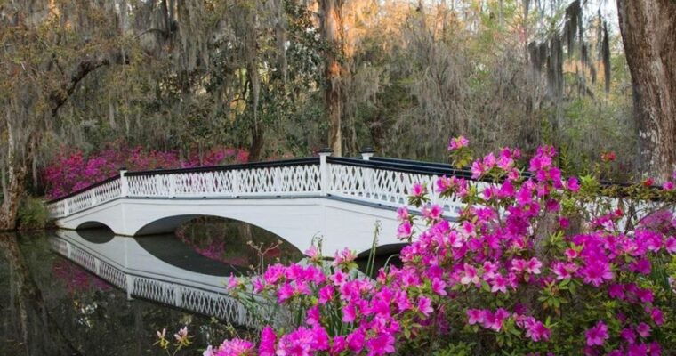 charleston-magnolia-plantation-entry-tour-with-transport