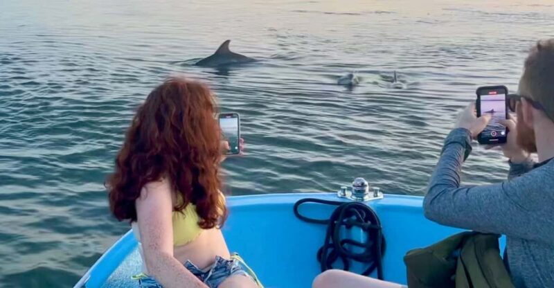 Charleston: Morris Island Dolphin Cruise with Beachcombing - The Sum Up