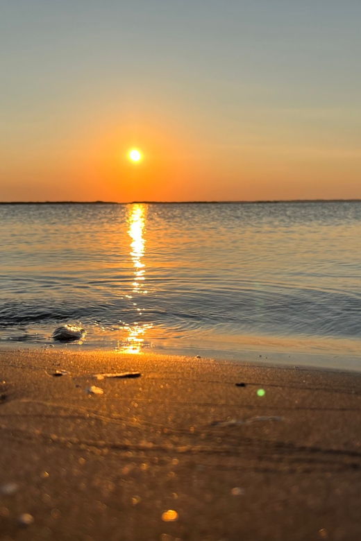 charleston-morris-island-dolphin-cruise-with-beachcombing
