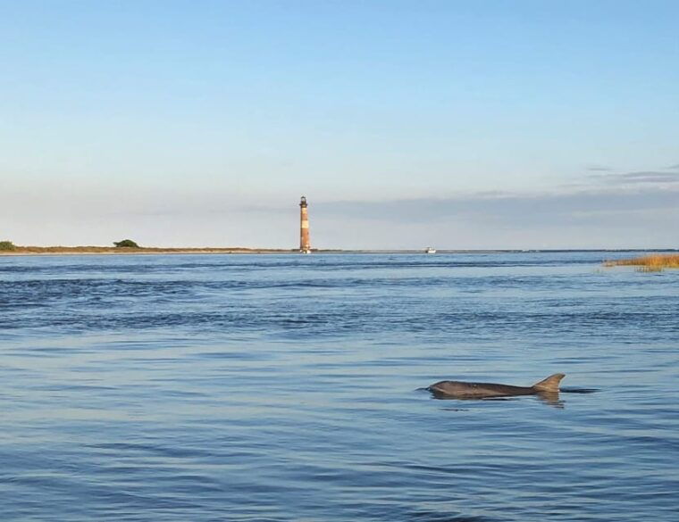 charleston-morris-island-dolphin-cruise-with-beachcombing