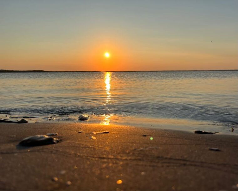 charleston-morris-island-dolphin-cruise-with-beachcombing
