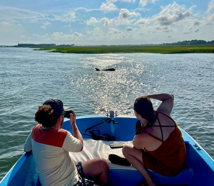 charleston-morris-island-dolphin-cruise-with-beachcombing