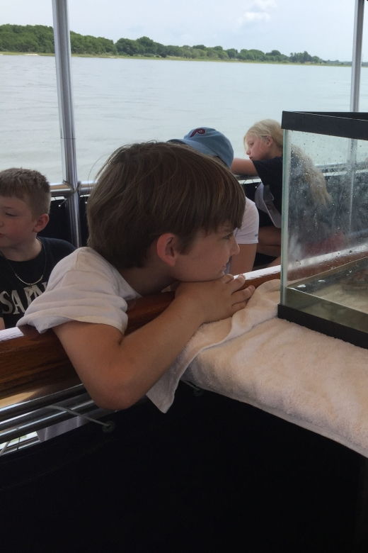 charleston-morris-island-nature-boat-tour-with-naturalist