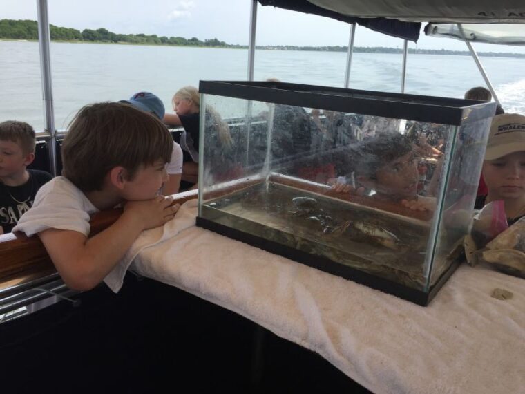 charleston-morris-island-nature-boat-tour-with-naturalist