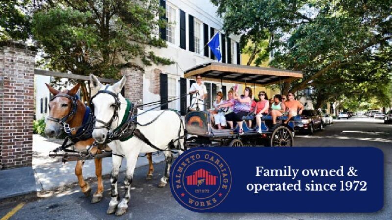 Charleston, SC: Private Daytime Horse-Drawn Carriage Ride - Authentic Experiences and What Travelers Say