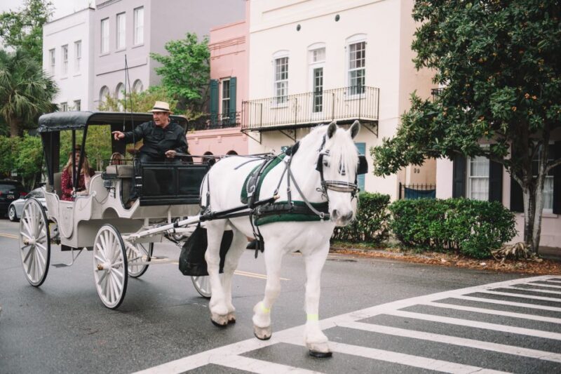 Charleston, SC: Private Daytime Horse-Drawn Carriage Ride - Who is This Tour Best For?