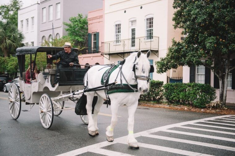 charleston-sc-private-daytime-horse-drawn-carriage-ride