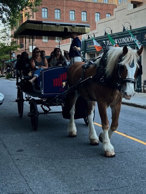 Charleston, SC: Private Evening Horse & Carriage Tour - What to Expect on Your Tour