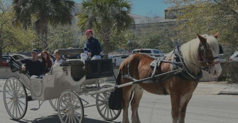 charleston-sc-private-evening-horse-carriage-tour