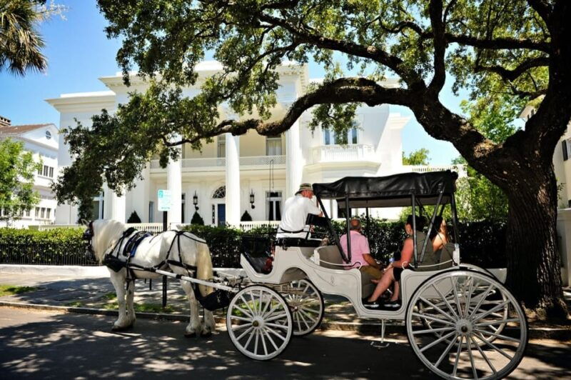 charleston-sc-private-evening-horse-carriage-tour