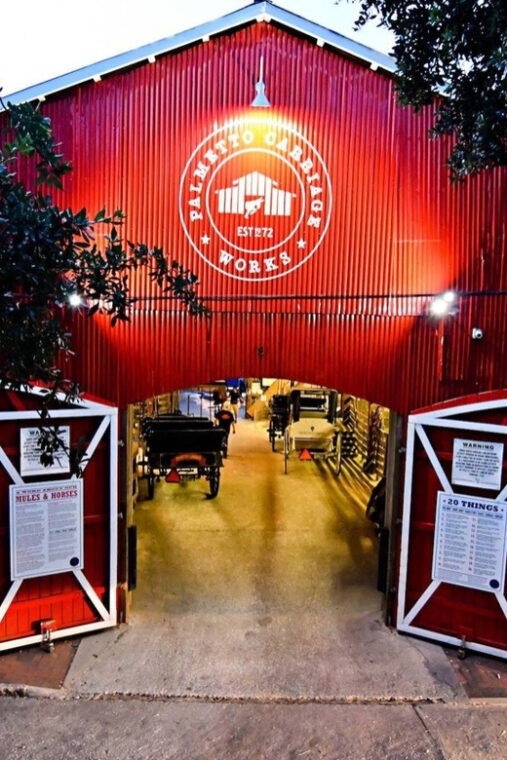 charleston-sc-private-evening-horse-carriage-tour