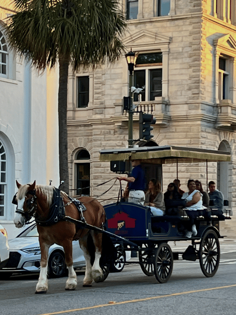 charleston-sc-private-evening-horse-carriage-tour