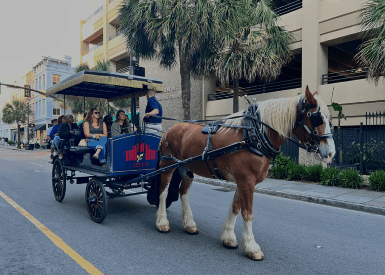 charleston-sc-private-evening-horse-carriage-tour