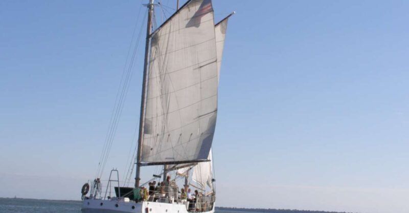 Charleston: Schooner Sailing Harbor Tour & Dolphin Watch - What We Love and What to Keep in Mind