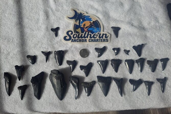 charleston-shark-tooth-and-fossil-searching-island-drop-off