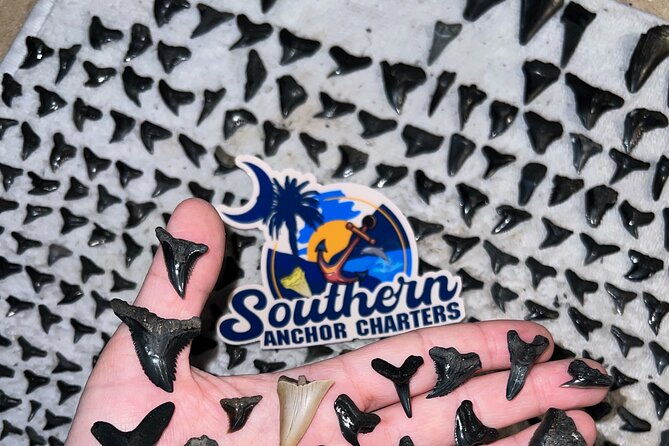 charleston-shark-tooth-and-fossil-searching-island-drop-off