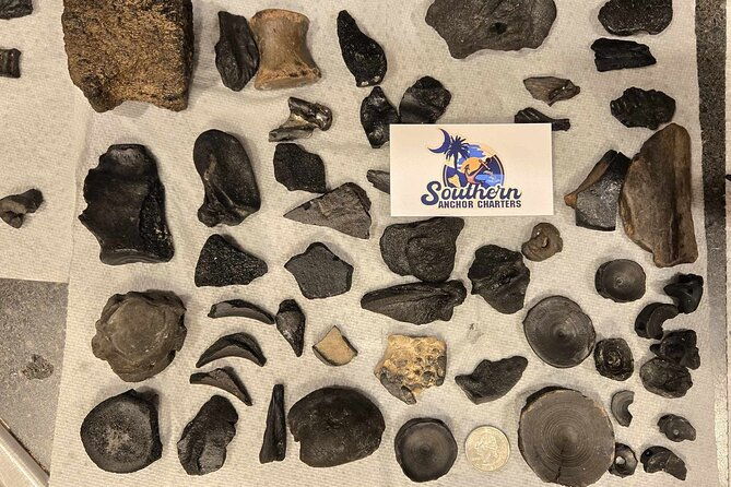 charleston-shark-tooth-and-fossil-searching-island-drop-off