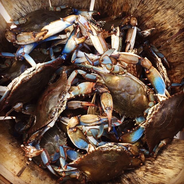 Charleston: Shem Creek Culture Tour - Charleston: Shem Creek Culture Tour