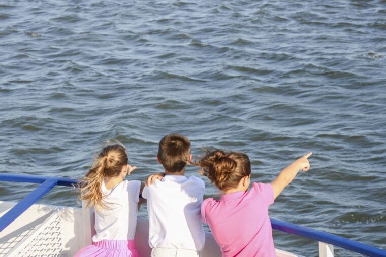 charleston-sightseeing-harbor-tour-dolphin-watch