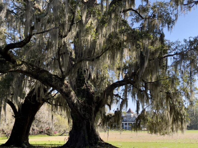 Charleston: The Complete Lowcountry Tour. Get Out of Town! - Logistics & Practical Tips
