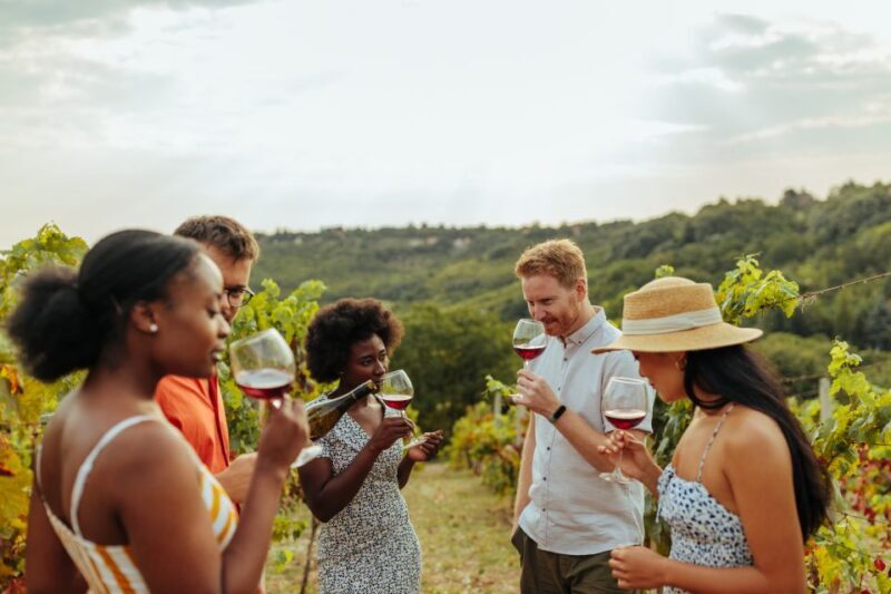 Charleston: Wadmalaw Island Wine Tasting and Tea Garden Trip - What to Expect: Day-by-Day Breakdown