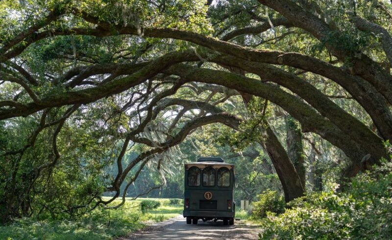 charleston-wadmalaw-island-wine-tasting-and-tea-garden-trip