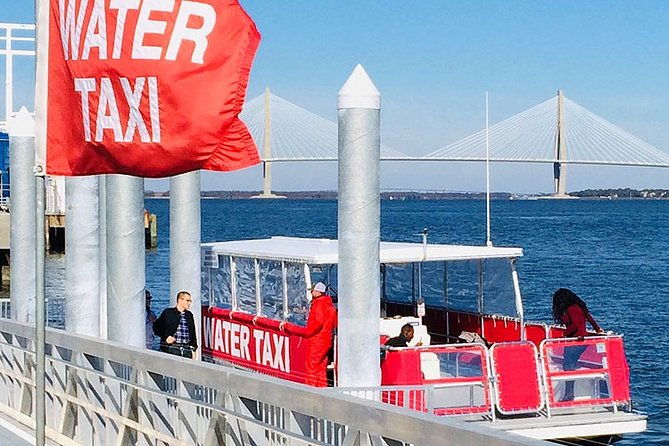 charleston-water-taxi-cruise-with-dolphin-sighting