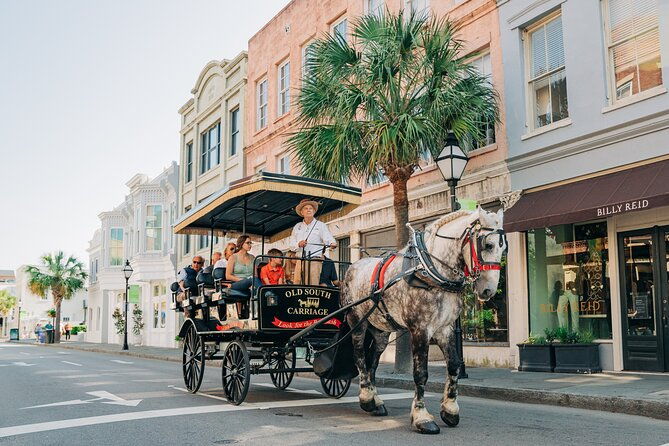 charlestons-old-south-carriage-historic-horse-carriage-tour