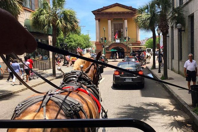 charlestons-old-south-carriage-historic-horse-carriage-tour