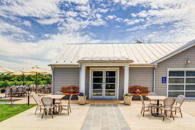 charlottesville-best-vineyards-private-tour-up-to-14-people