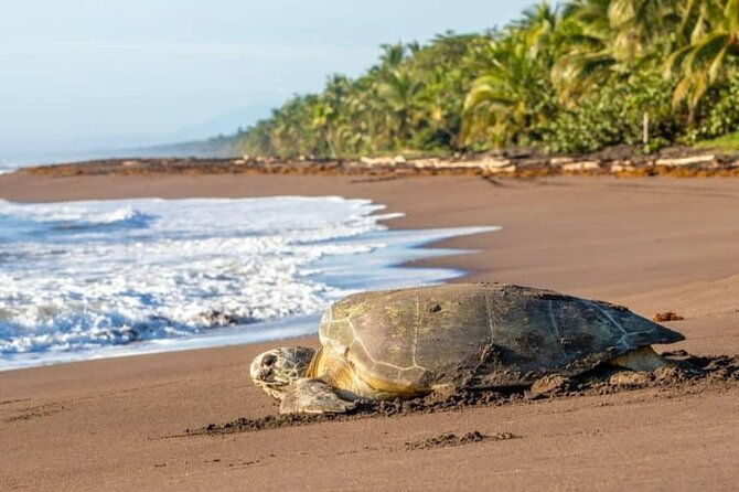 charming-beaches-for-10-nights-and-11-days-minimum-2-people