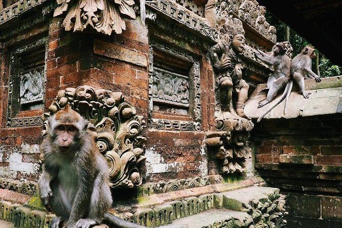 Charter Minivan Hi-Ace (14 seater) with Driver at Bali- 10 Hours Usage - Why Choose a Private Bali Minivan Tour?