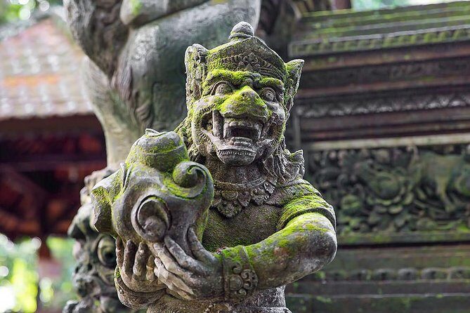 Charter Premier Vehicle with Driver at Bali - 5 Hours Usage - Who Should Consider This Tour?