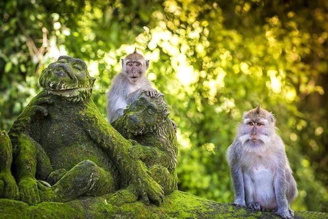 Charter Standard Vehicle with Driver at Bali- 10 Hours Usage - Why Choose a Private Bali Car Charter?