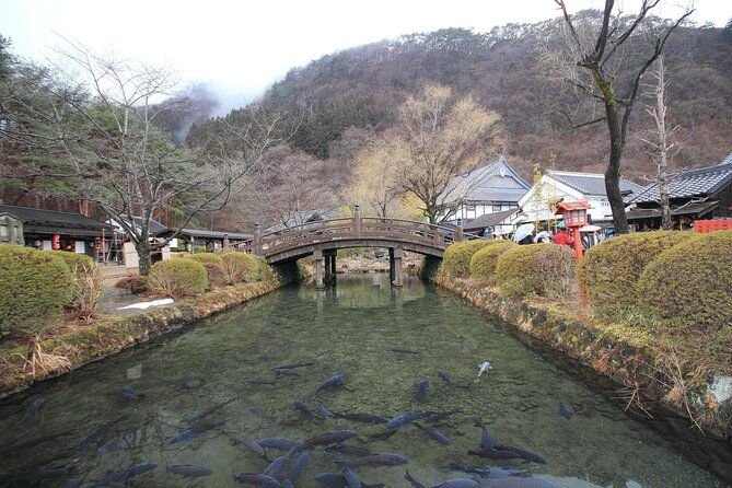 chartered-private-tour-tokyo-to-nikko-toshogu-edo-wonderland
