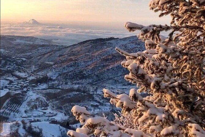 Charyn Canyon and Kolsai Lake Day Adventure from Almaty - Practical Aspects of the Tour