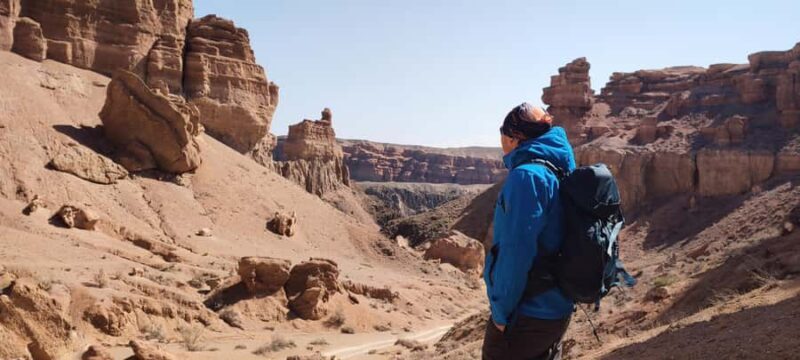 Charyn: Full-Day Canyon Adventures with Picnic and Hiking - Key Points