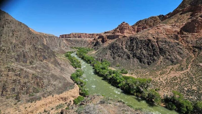 Charyn: Full-Day Canyon Adventures with Picnic and Hiking - Who Should Consider This Tour?