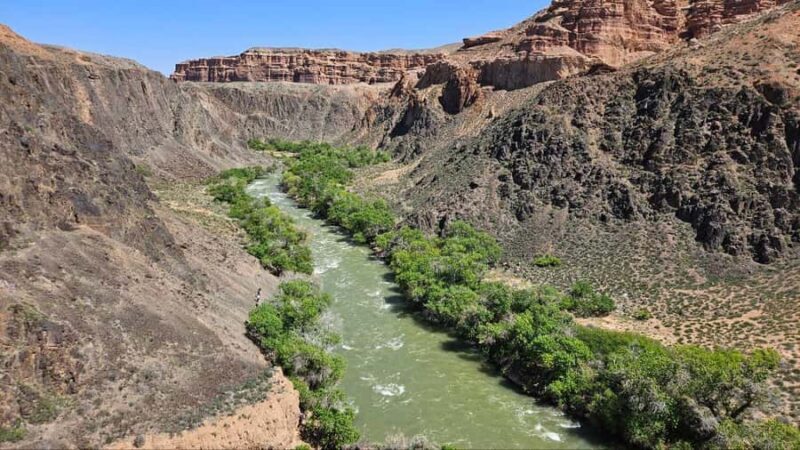 Charyn: Full-Day Canyon Adventures with Picnic and Hiking - Final Thoughts