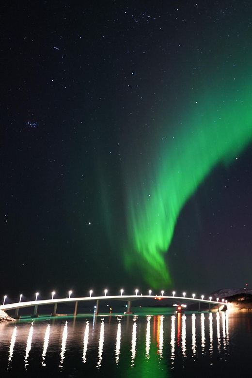 chase-the-magic-of-the-northern-lights-in-tromso-norway
