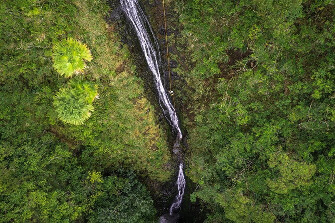 chasing-waterfallswild-hawaii-rappelling-2