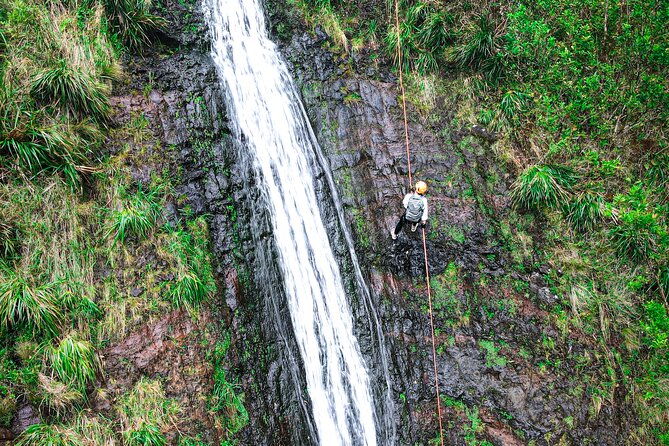 chasing-waterfallswild-hawaii-rappelling