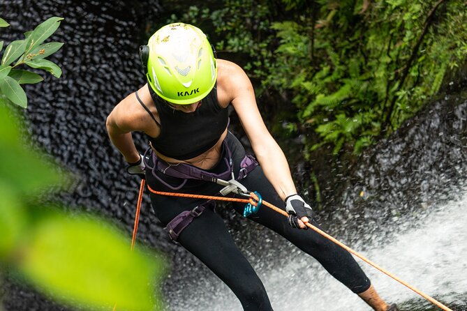chasing-waterfallswild-hawaii-rappelling