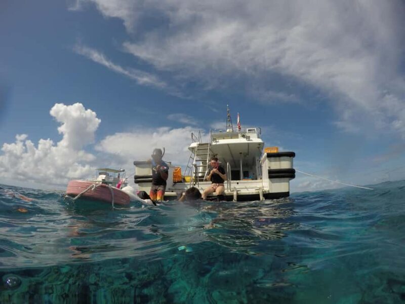 Chatan: Full-Day Snorkeling in Kerama National Park - Who Should Book This Tour?