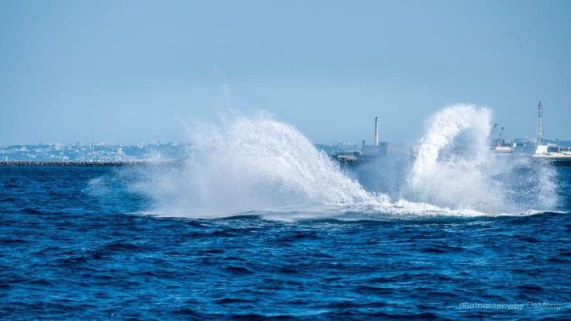 chatan-okinawa-whale-watching-cruise